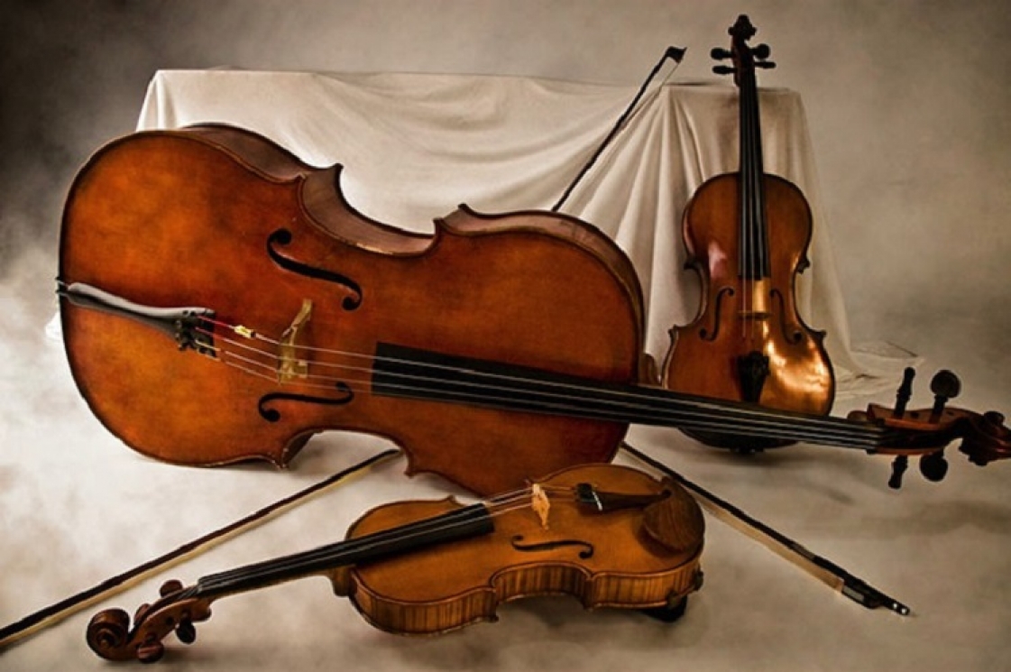 Скрипка,виолончель. Струнный квартет